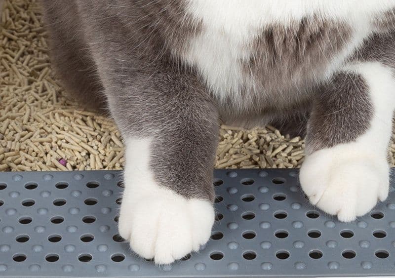 猫トイレ 二層構造猫砂飛び散り防止トイレ大型設計
