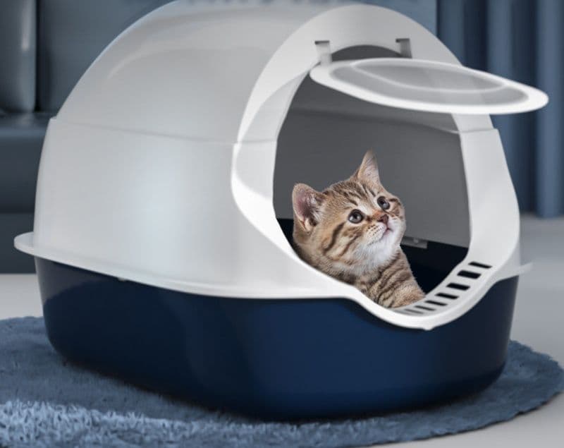 猫トイレ ゆったり広々ドーム型猫トイレ大型対応モデル