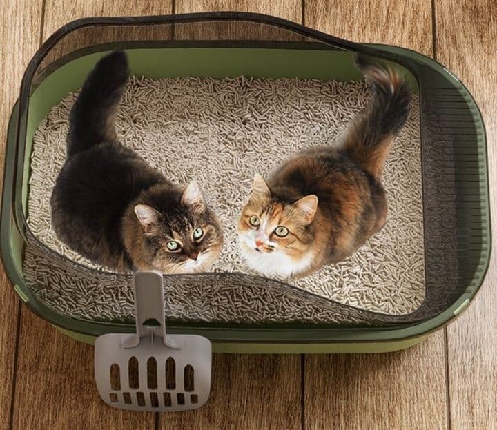 猫トイレ 曲線美型半密閉式大型猫トイレ