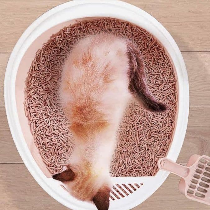 猫トイレ 高囲栏砂防外漏子猫用トイレ