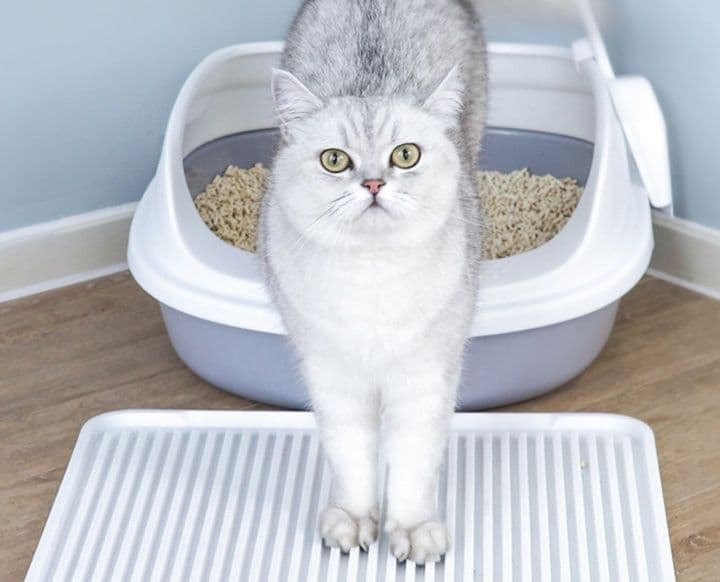 猫トイレ 小型省スペース猫用トイレ専用砂取りマット付き