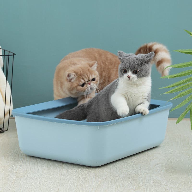 猫トイレ 子猫用シンプル設計オープン型猫トイレ