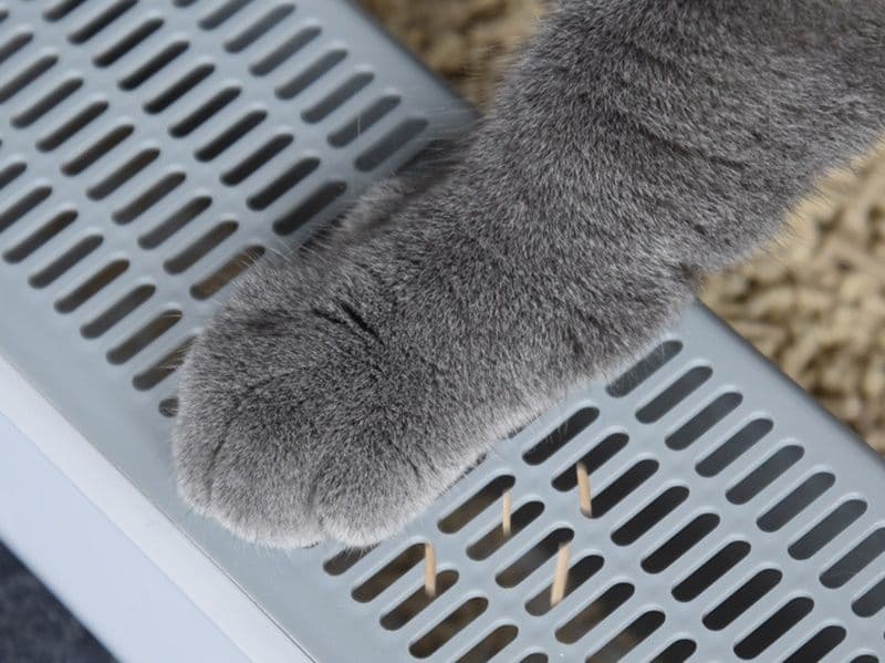 猫トイレ 高壁ガード付き猫用トイレ飛び散り防止タイプ