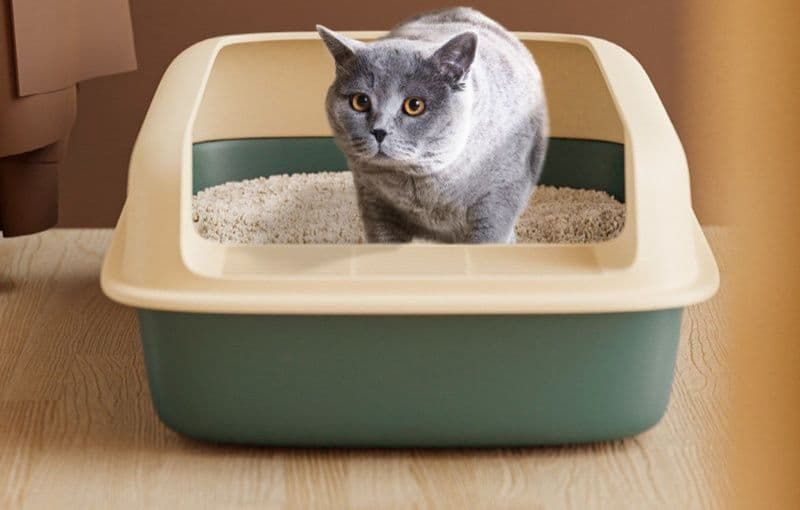 猫トイレ 高さ調節可能な防砂フード付き猫用トイレ