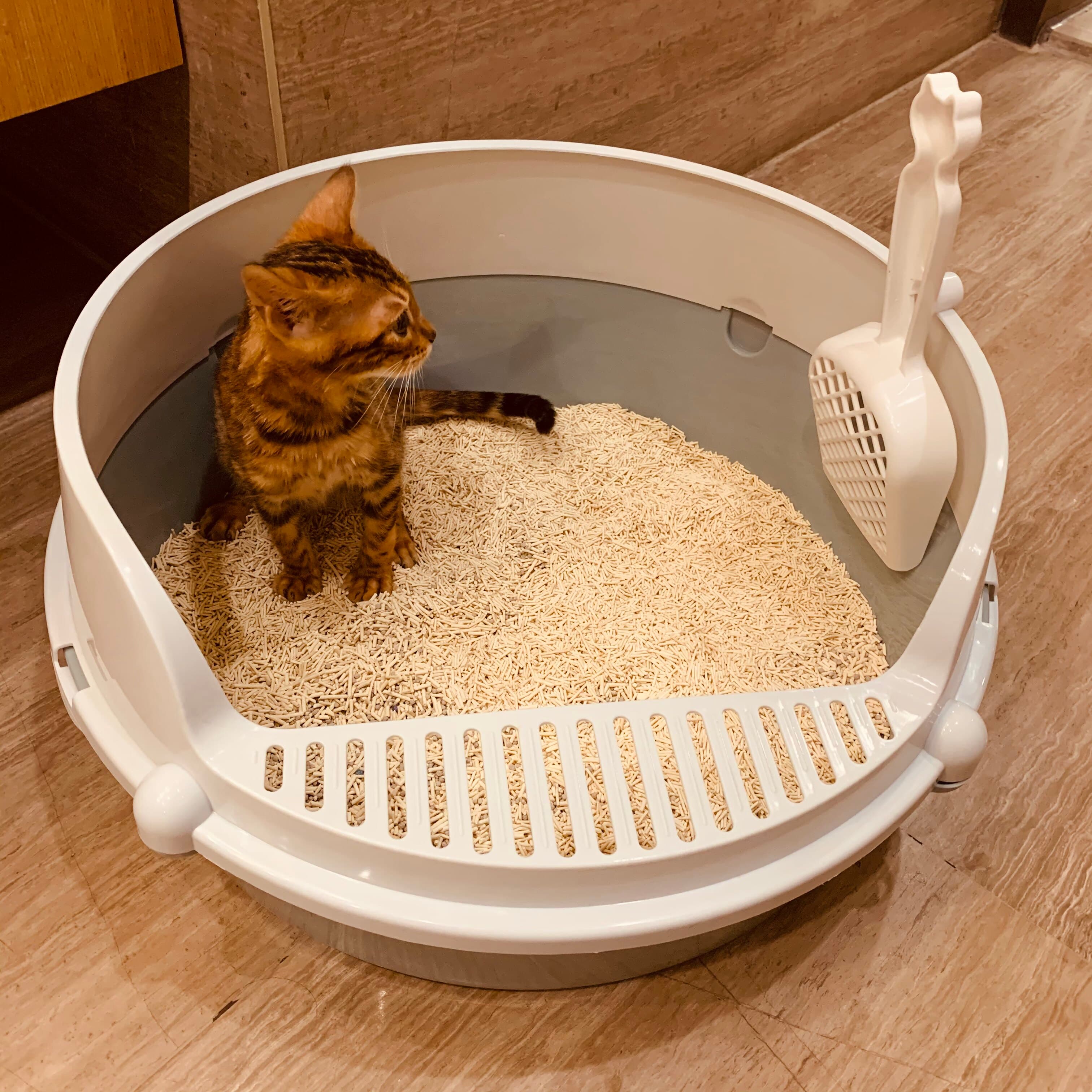 猫トイレ 子猫用丸型オープン猫トイレ砂落とし格子付き